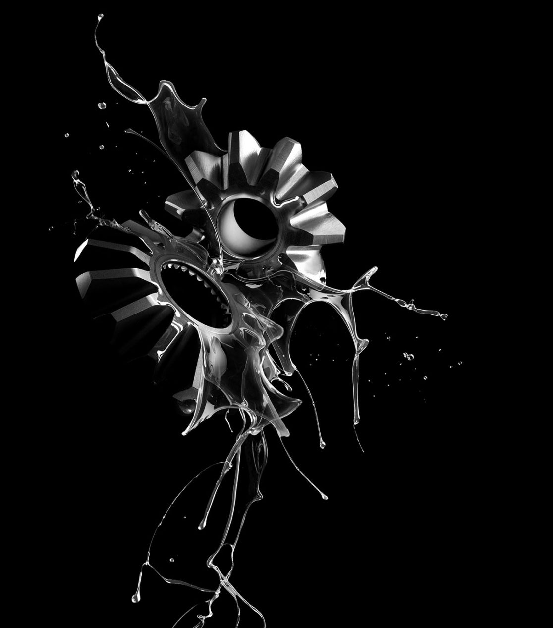 Buxton studio | Wolf lubricants