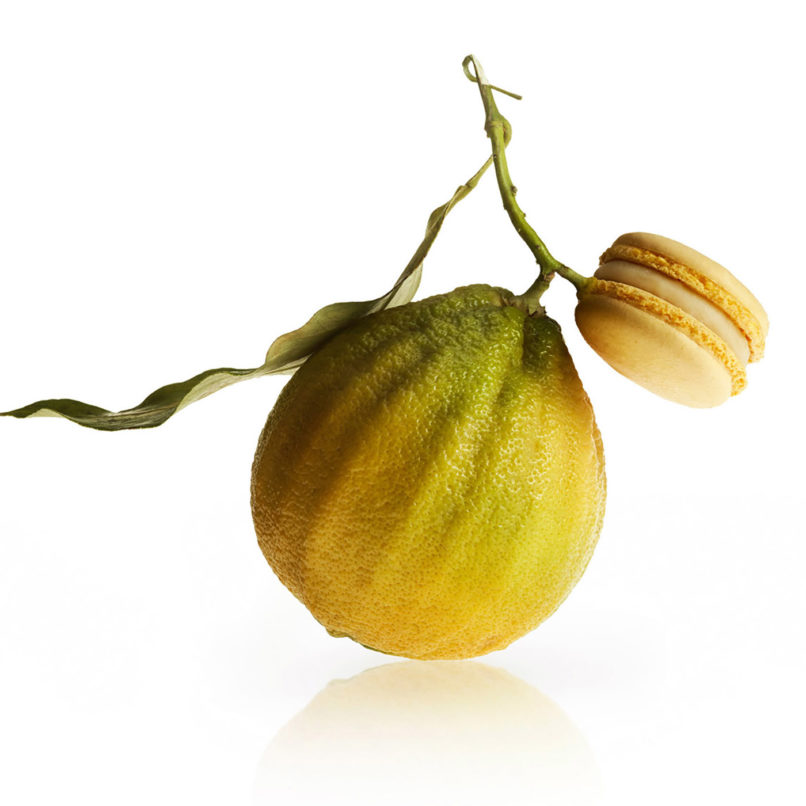 Buxton studio | Marcolini