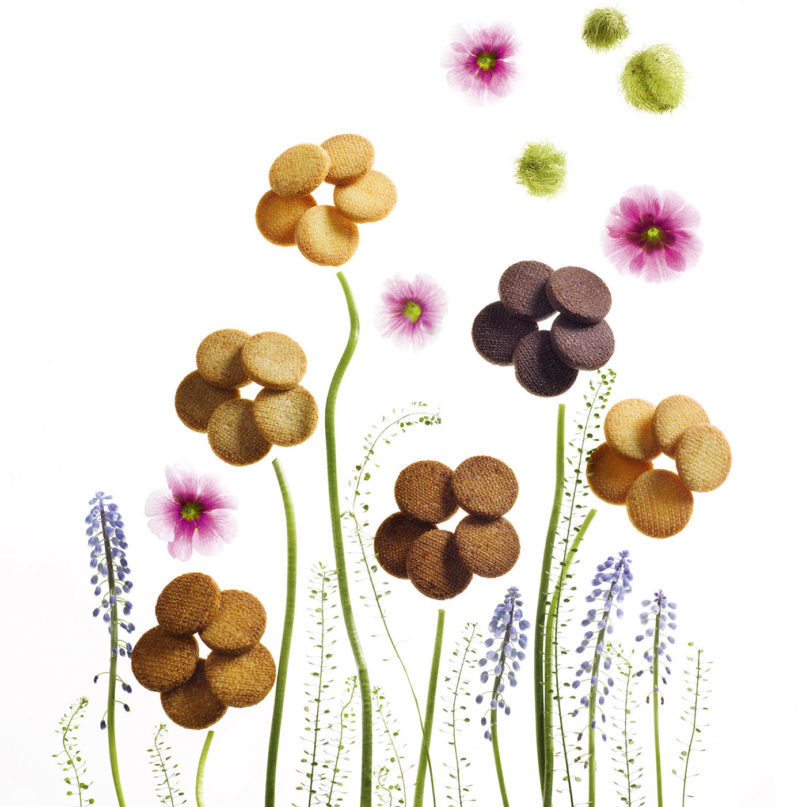 Buxton studio | Marcolini