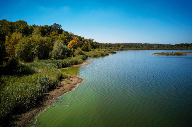 Buxton Studio | Charleroi Metropole