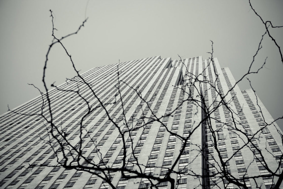 Buxton Studio | New York