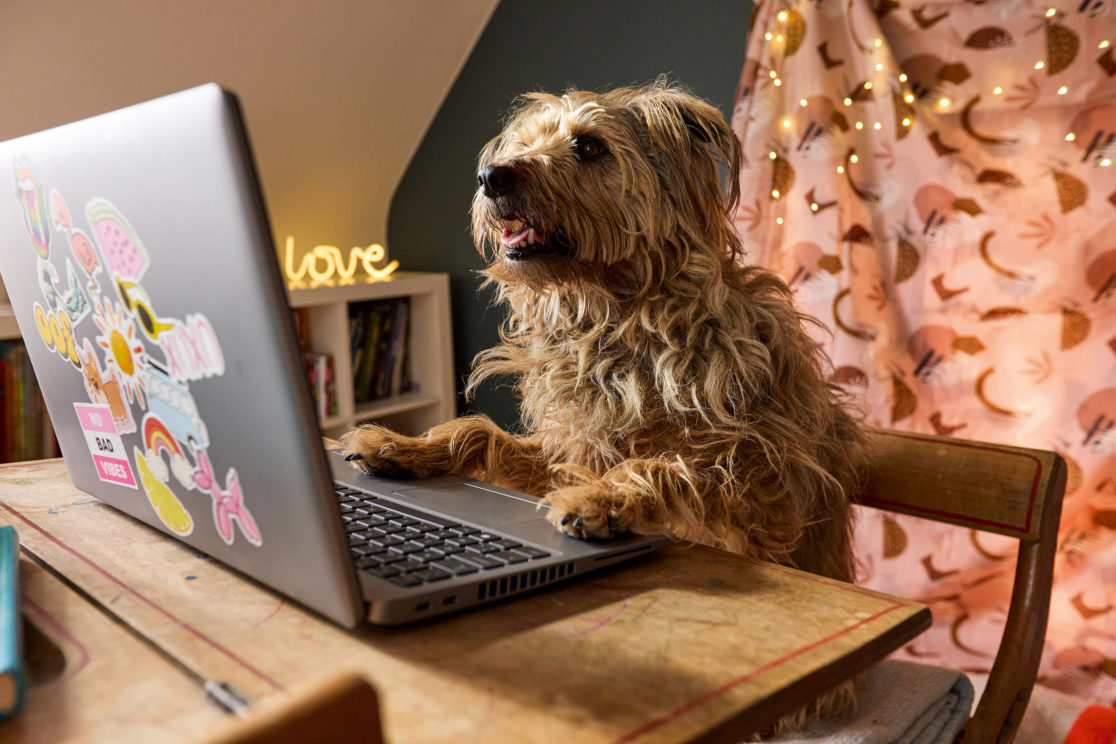 Buxton studio | Voo 02